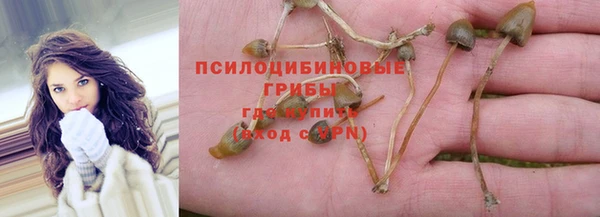 бутират Надым