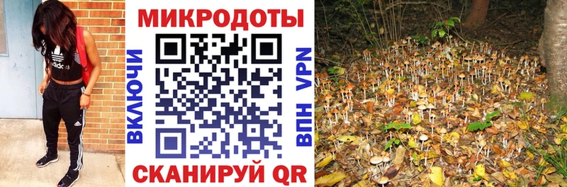 Псилоцибиновые грибы мицелий  Санкт-Петербург 