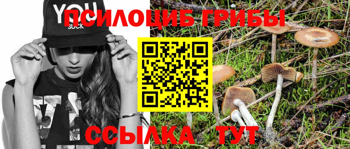 Санкт-Петербург  Галлюциногенные грибы Cubensis  Псилоцибиновые грибы Cubensis  Вход с VPN 